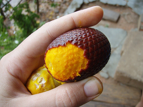 image of aguaje fruit