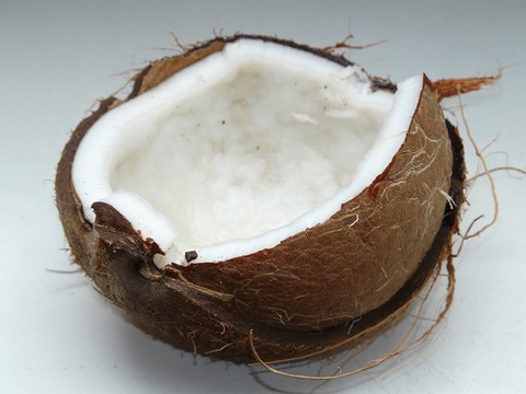 image of coconut fruit
