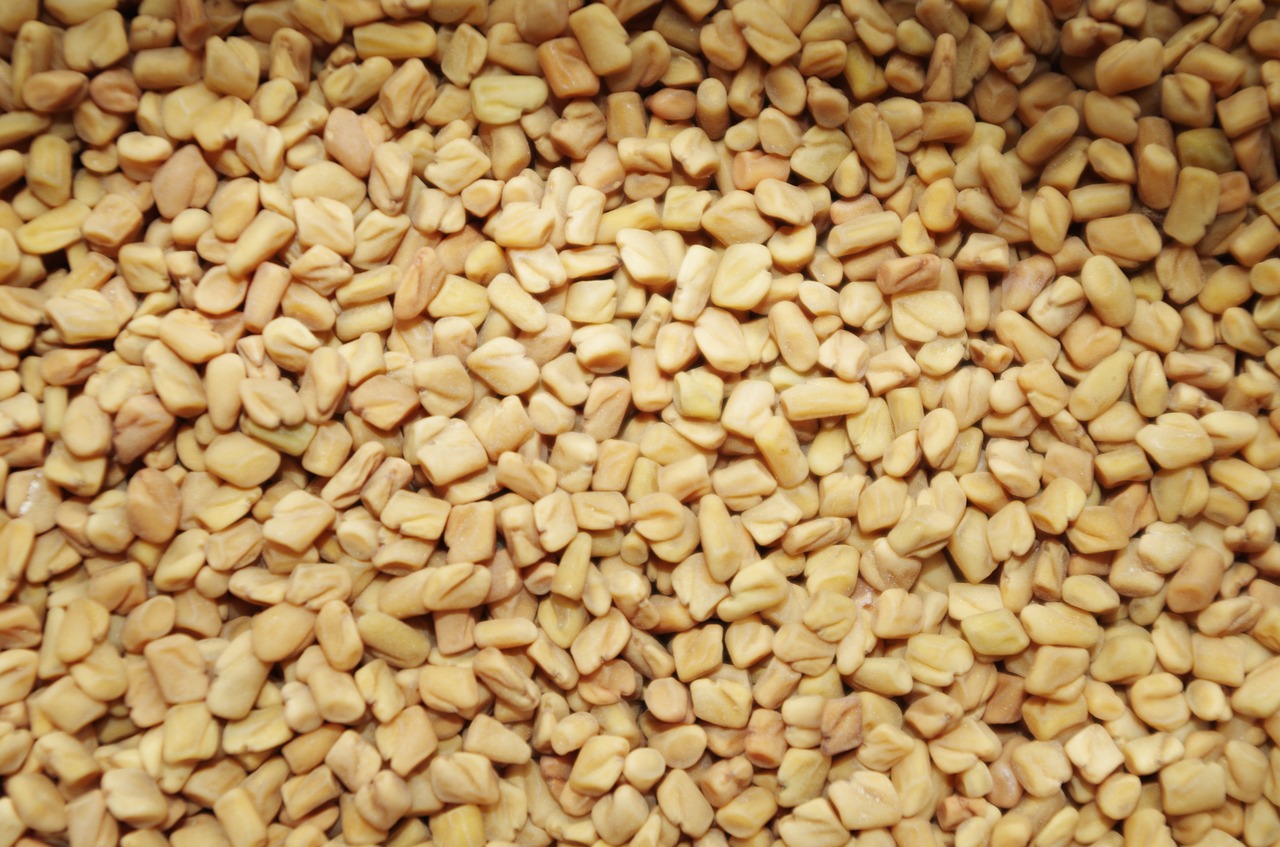 Picture of fenugreek seeds